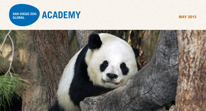 San Diego Zoo Global Academy