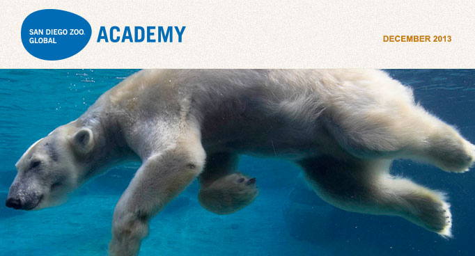 San Diego Zoo Global Academy