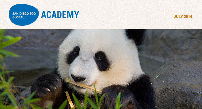 San Diego Zoo Global Academy