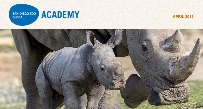 San Diego Zoo Global Academy