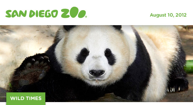 San Diego Zoo Wild Times, August 10, 2012