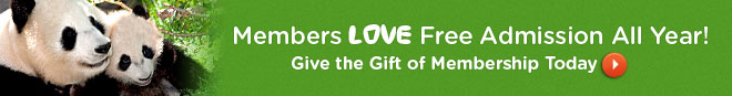 Members get in free all year: Give the gift of membership