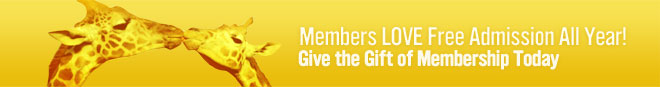 Members get in free all year: Give the gift of membership