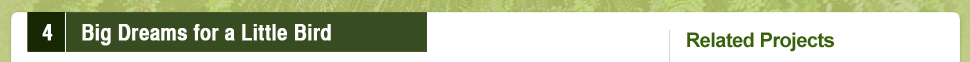 4. Giant Panda Milestone