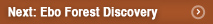 Next: Ebo Forest Discov ery