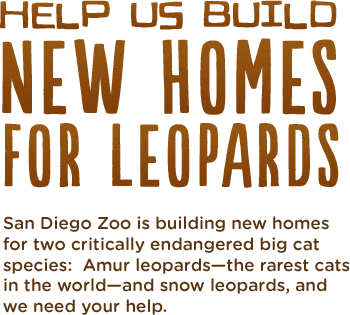 Hope times four plus. Join the challenge to raise two million dollars for tiger trail at the Safari Park and your gift will be matched more than four to one.